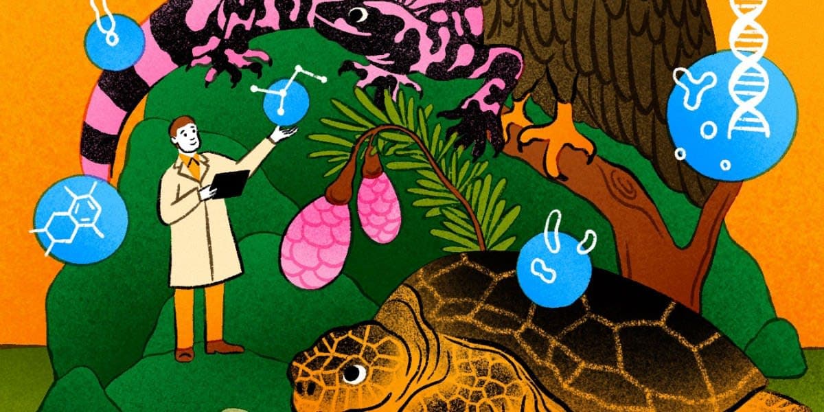 Nature-Inspired Molecular Architect: AI-Driven Drug Discovery Careers