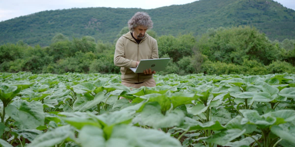 Why Agriculture's Data Bottleneck is Stalling the AI Revolution